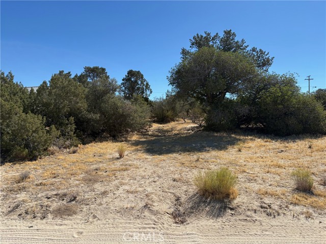 Front Image Thumbnail for CRSW26125995