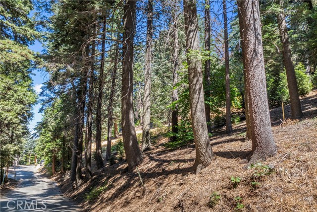 Detail Gallery Image 60 of 69 For 899 Blue Ridge, Lake Arrowhead,  CA 92385 - 3 Beds | 2 Baths