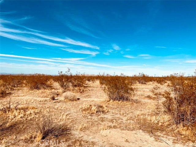 Detail Gallery Image 3 of 5 For 135 E 135 St E Ave, Pearblossom,  CA 93553 - – Beds | – Baths
