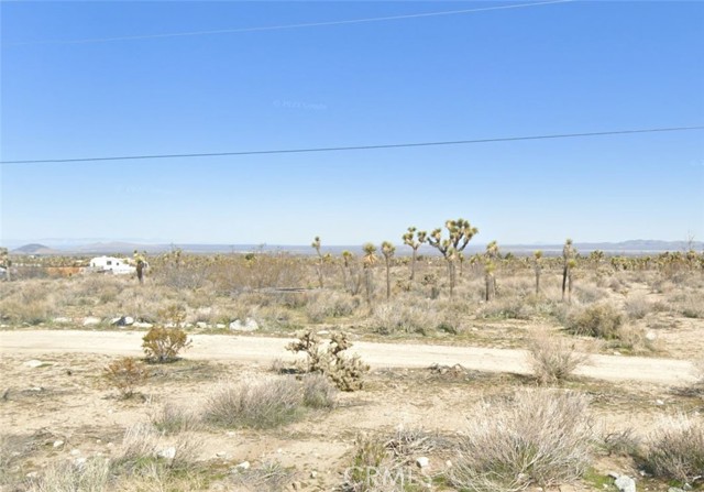 Detail Gallery Image 4 of 4 For 1630 Goss Rd, Pinon Hills,  CA 92372 - – Beds | – Baths