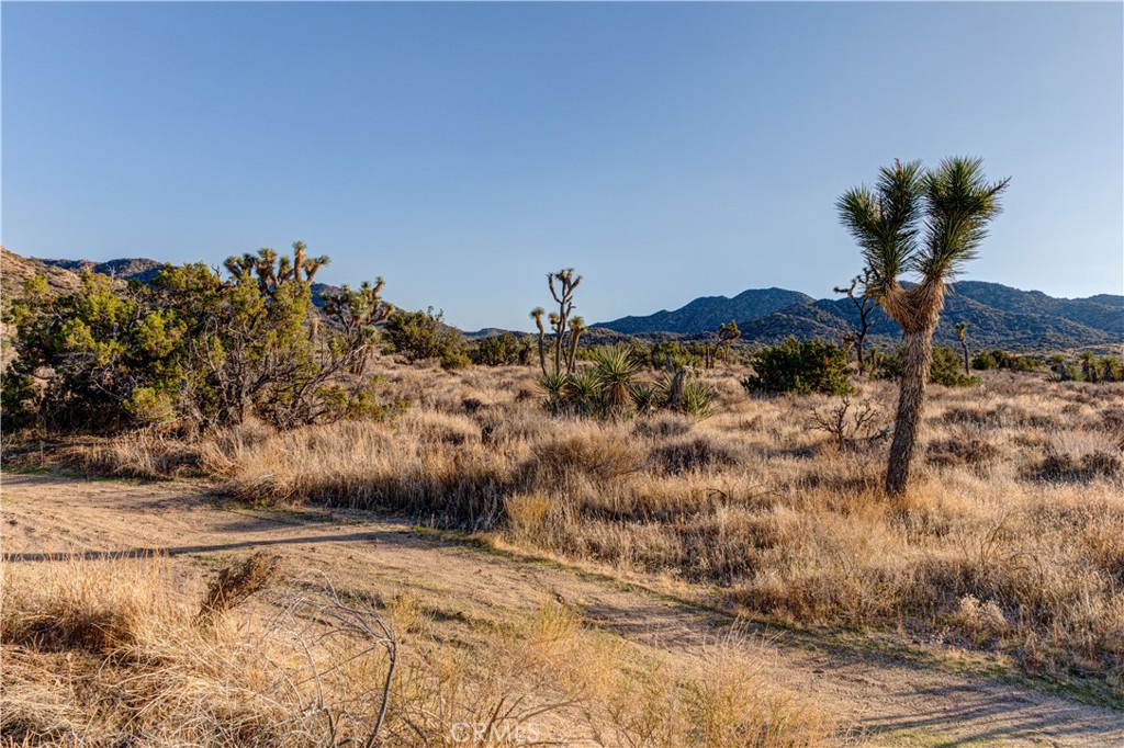 MLS #JT25229239 image #29