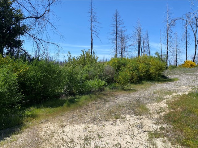 Detail Gallery Image 7 of 24 For 1103 Bald Rock Rd, Berry Creek,  CA 95916 - – Beds | – Baths