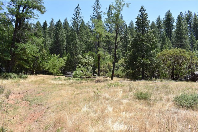 Detail Gallery Image 14 of 43 For 11605 La Porte Rd, Clipper Mills,  CA 95925 - 3 Beds | 2/1 Baths