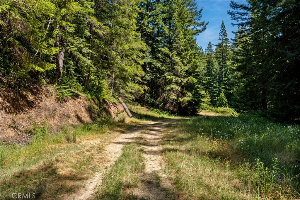 MLS #LC25132464 image #11