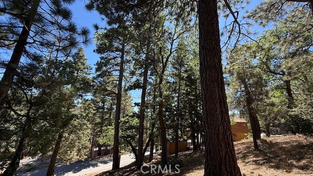 33112 Juniper Lane, Green Valley Lake CA: https://media.crmls.org/medias/4f5ac1f9-38e7-4cff-93fa-3b9814cf0582.jpg