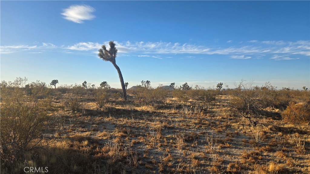 MLS #SR25151837 image #11