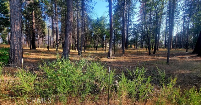 70 Ermarie, Berry Creek, CA, 95916 70 Ermarie, Berry Creek, CA, 95916