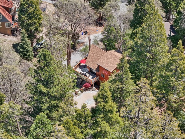 Detail Gallery Image 56 of 59 For 385 Iris Dr, Twin Peaks,  CA 92391 - 4 Beds | 3 Baths