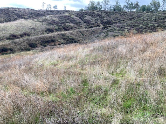 MLS #SW25049655 img 2