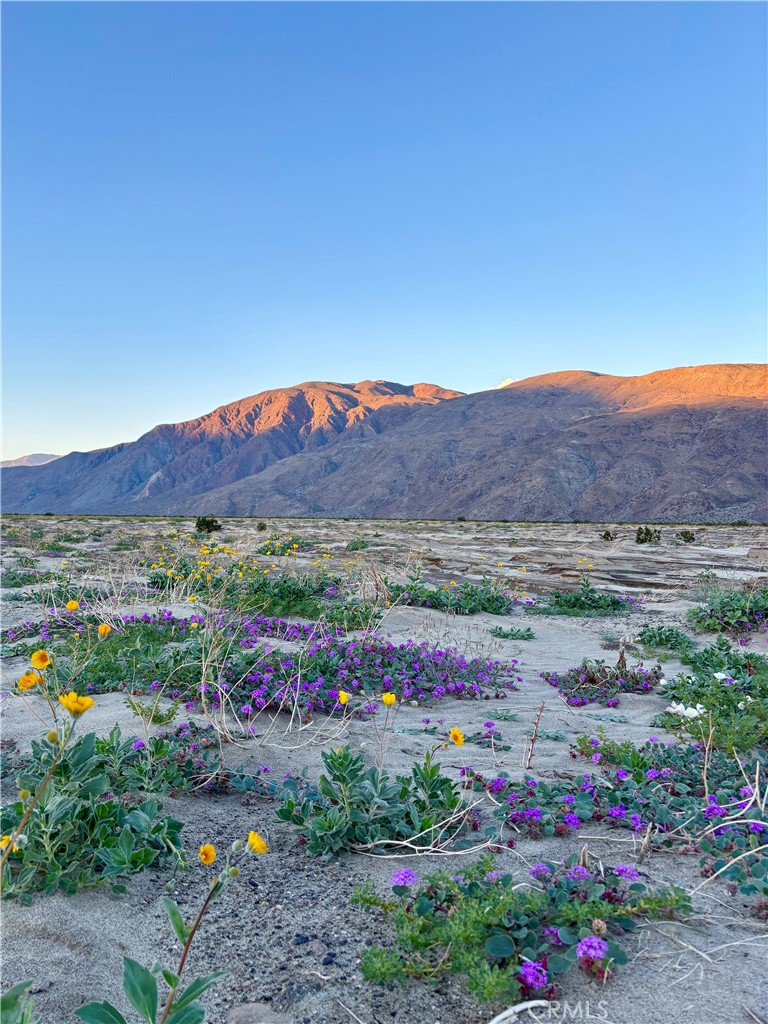 https://media.crmls.org/medias/4f762cca-316c-4cf9-b536-f846f9c75b64.jpg?preset=X-Large