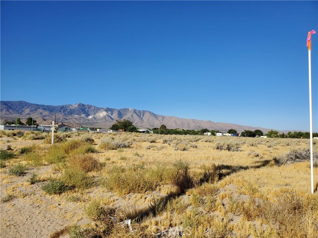 10600 Oracle Road, Lucerne Valley, California 92356, ,Land,For Sale,10600 Oracle Road,CRHD23166594