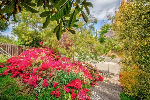 Detail Gallery Image 49 of 58 For 1901 Victoria Dr, Fullerton,  CA 92831 - 4 Beds | 3 Baths