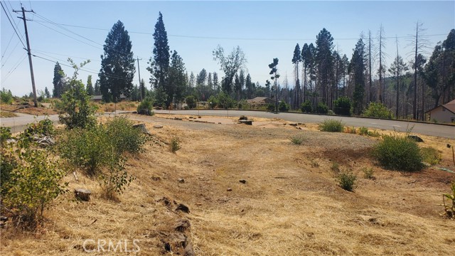 13675 W Park Drive, Magalia, California 95954, ,Land,For Sale,13675 W Park Drive,CRSN23153030