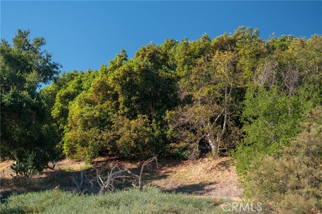 Detail Gallery Image 8 of 17 For 0 via Tornado, Temecula,  CA 92590 - – Beds | – Baths