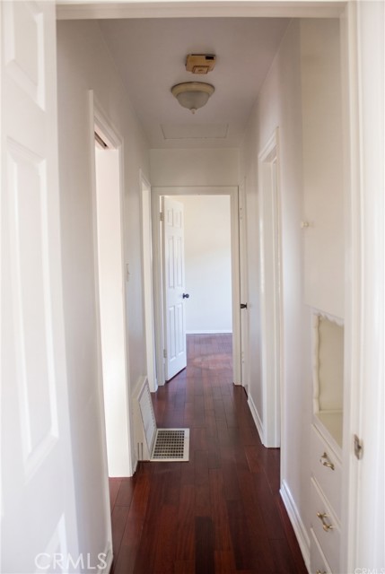 6933 Lime photo 23