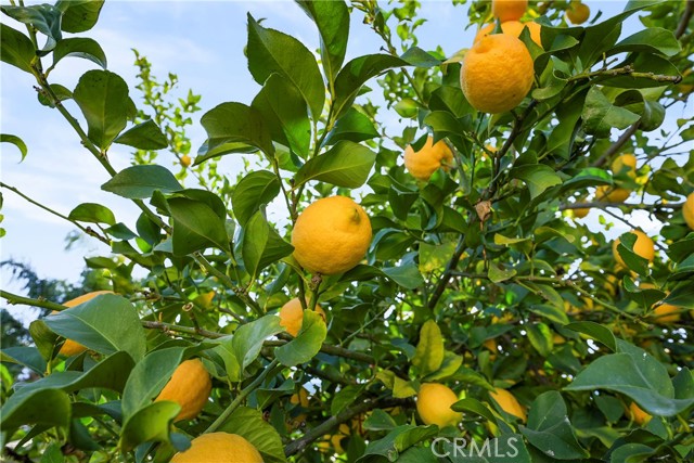 Detail Gallery Image 52 of 56 For 569 Overleaf, San Jacinto,  CA 92582 - 3 Beds | 4 Baths