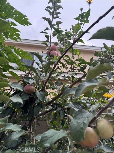 Detail Gallery Image 28 of 32 For 5704 Sultana Ave #D,  Temple City,  CA 91780 - 3 Beds | 2/1 Baths