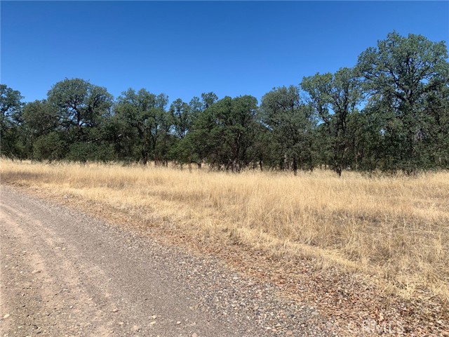 19810 Siesta, Red Bluff, CA, 96080 19810 Siesta, Red Bluff, CA, 96080