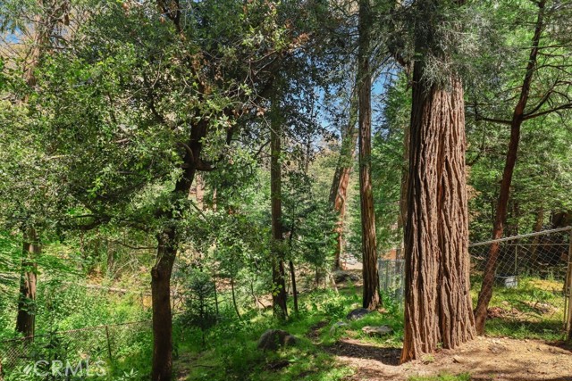 Detail Gallery Image 36 of 38 For 23950 Bowl Rd, Crestline,  CA 92325 - 4 Beds | 2 Baths