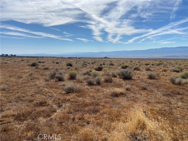 Detail Gallery Image 9 of 11 For 0 Vecinity of 255th W. & Patterson, Rosamond,  CA 93560 - – Beds | – Baths