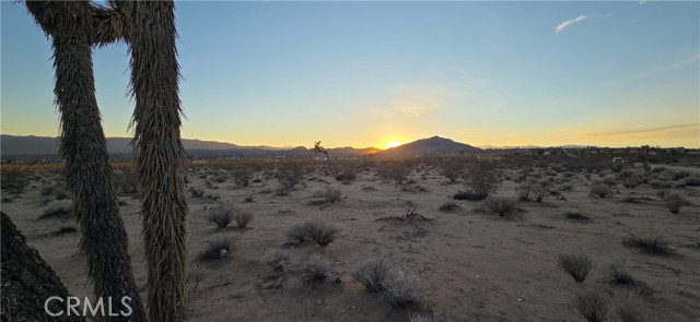 Detail Gallery Image 2 of 6 For 2 Belmont St, Joshua Tree,  CA 92252 - – Beds | – Baths