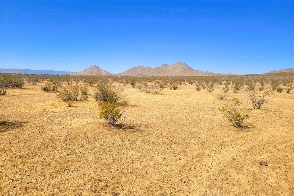 MLS #HD25090973 image #14