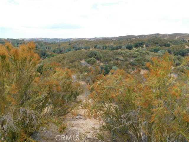 9890 Huer Huero Road, Creston, California 93432, ,Land,For Sale,9890 Huer Huero Road,CRNS23140865