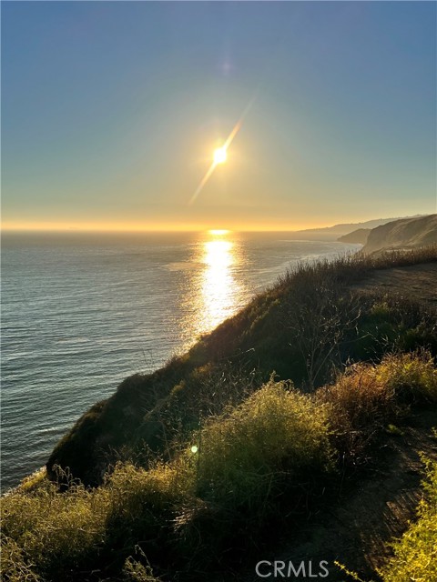 Community Sunset View