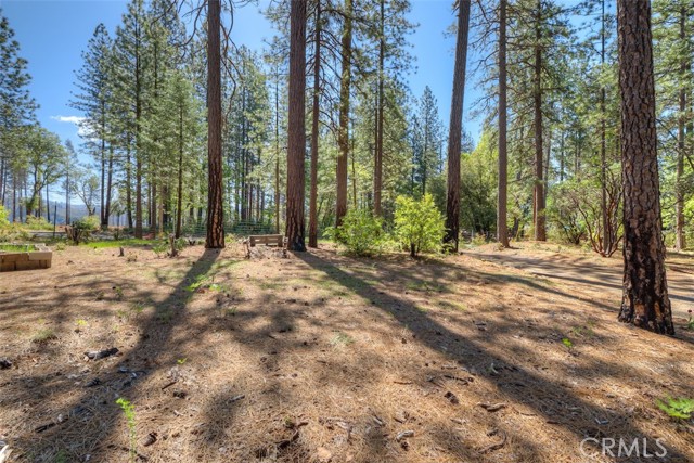 Detail Gallery Image 24 of 44 For 14565 Coutolenc Rd, Magalia,  CA 95954 - 3 Beds | 2 Baths