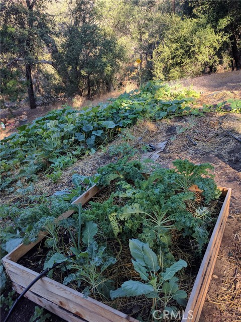 Detail Gallery Image 24 of 66 For 5049 Ca-78, Santa Ysabel,  CA 92070 - 3 Beds | 2/1 Baths