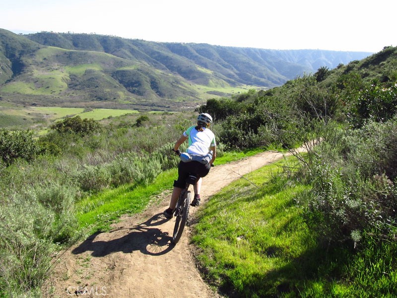 MLS #OC25250506 image #48