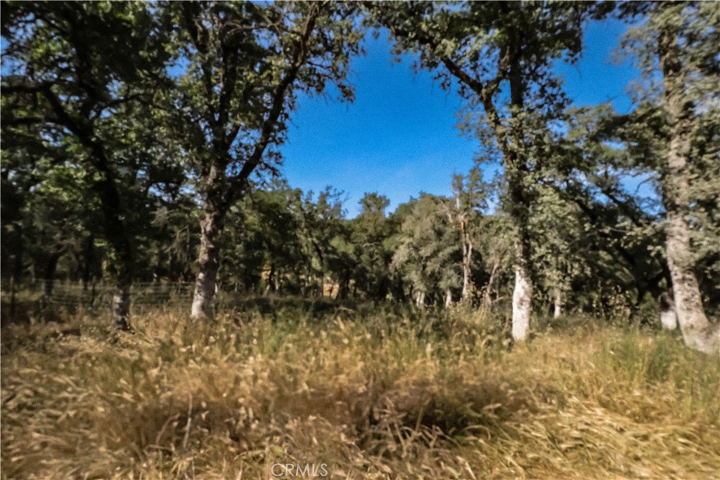 https://media.crmls.org/medias/4fdd84c4-a28e-4f8a-b80e-968ab1c21bcb.jpg?preset=X-Large