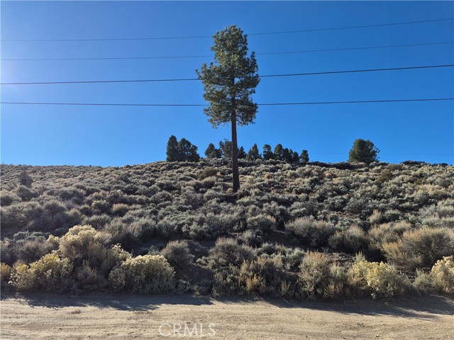 Front Image Thumbnail for CRPW25248724