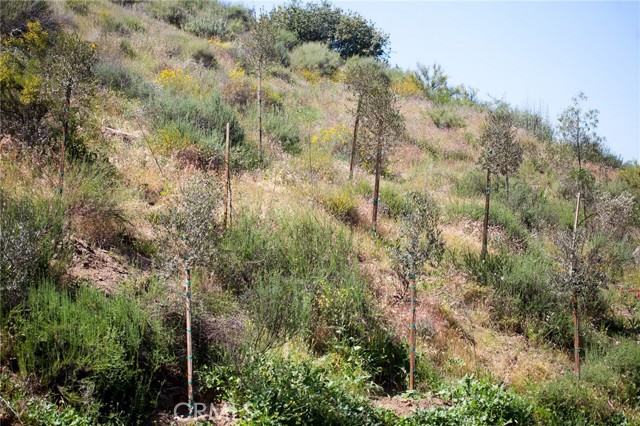 Detail Gallery Image 34 of 36 For 11251 Spanish Hills Dr, Corona,  CA 92883 - – Beds | – Baths