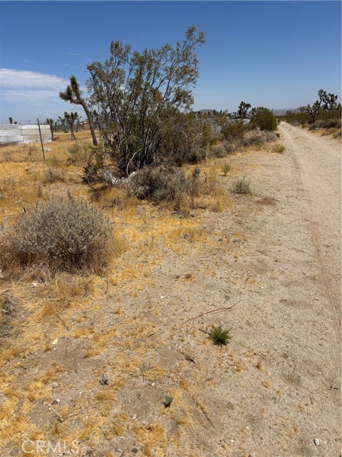  Land for Sale in Black Butte, California