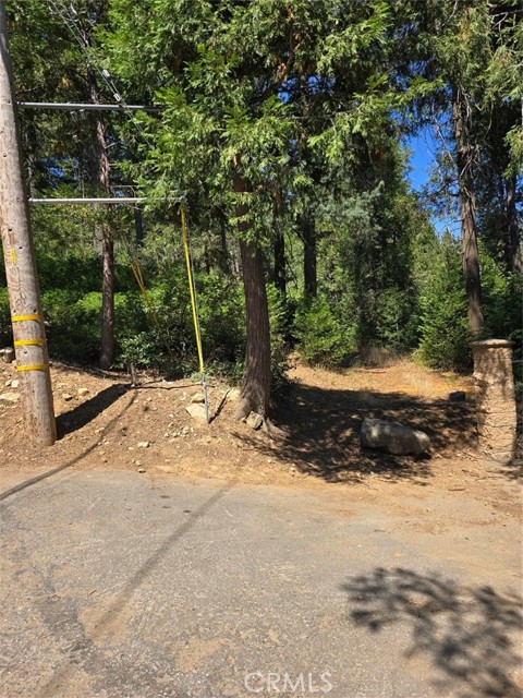 0 Lovers Lane, Cedarpines Park CA: https://media.crmls.org/medias/4ff05d4e-df6c-4b4c-9bdd-239007ea52c4.jpg
