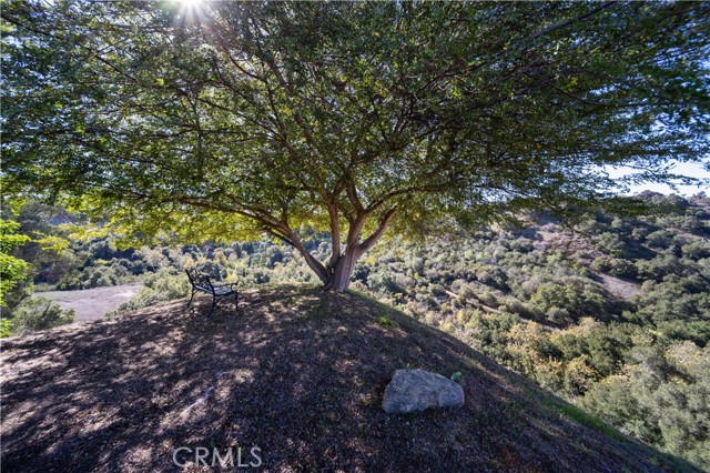 Detail Gallery Image 39 of 60 For 925 Golden Prados, Diamond Bar,  CA 91765 - 3 Beds | 2 Baths