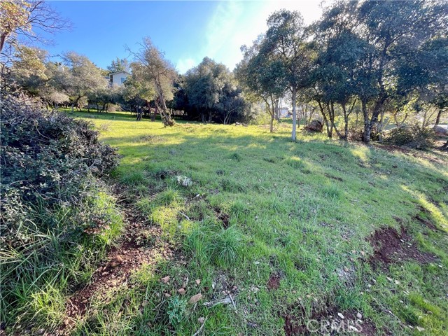 9729 Broadmoor Way, Kelseyville, California 95451, ,Land,For Sale,9729 Broadmoor Way,CRND23182464