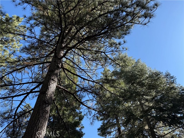 Front Image Thumbnail for CRIG26072280