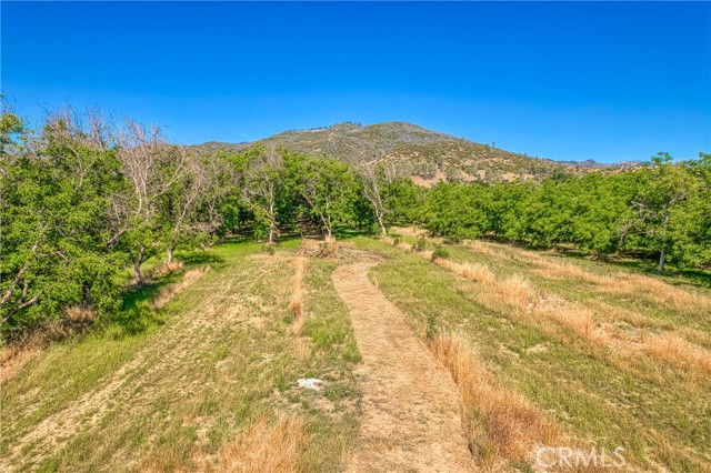 Detail Gallery Image 58 of 69 For 10905 Elk Mountain Rd, Upper Lake,  CA 95485 - 3 Beds | 2 Baths