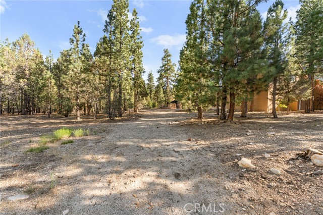 1540 Alderwood Court, Big Bear City CA: https://media.crmls.org/medias/500542e9-e65e-46c4-9415-f52582eb1011.jpg