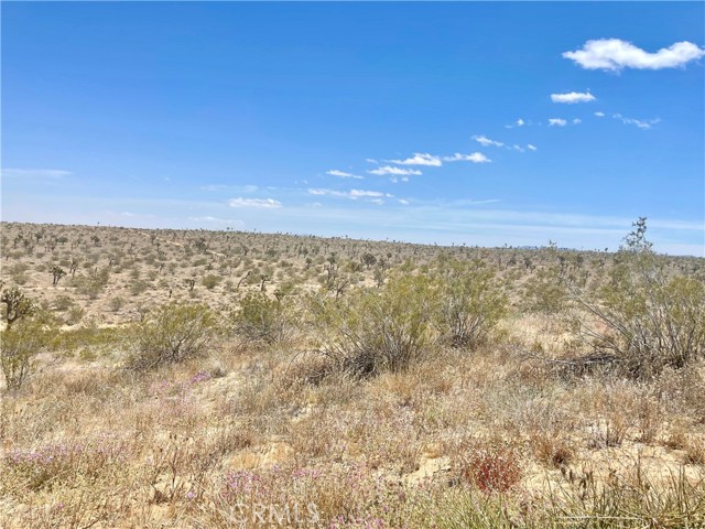 Detail Gallery Image 10 of 19 For 20 Acres, Yucca Valley,  CA 92285 - – Beds | – Baths