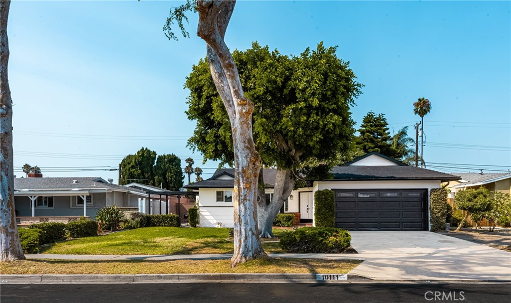 500e993a 6222 47fc 86b2 79acb545cdaf