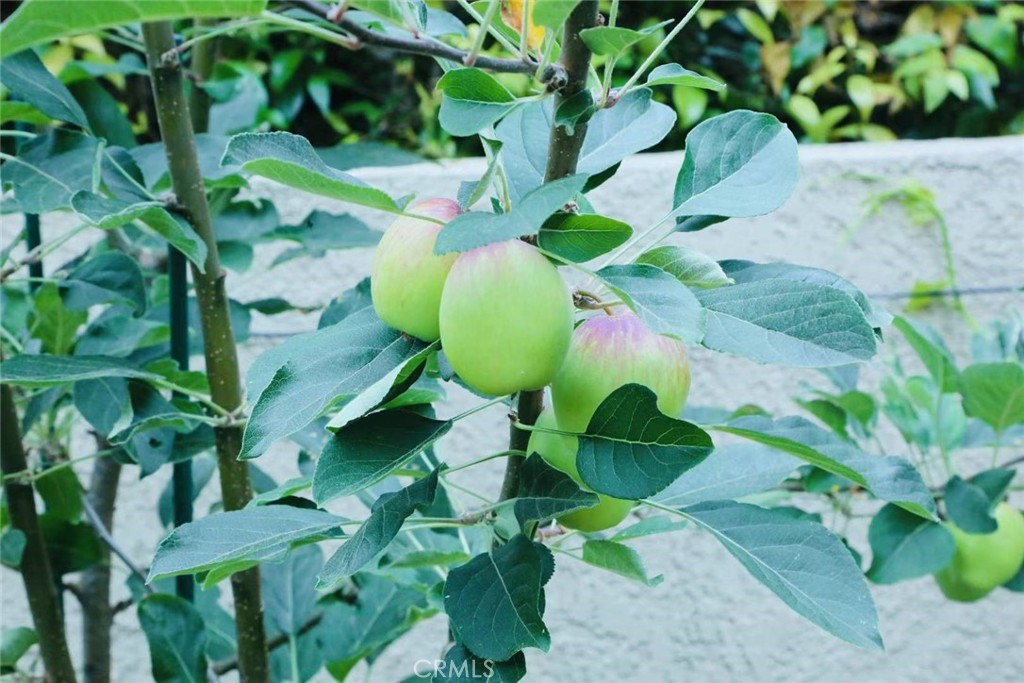 https://media.crmls.org/medias/5011aad5-663b-4d70-a91e-79552e9ae5d4.jpg?preset=X-Large