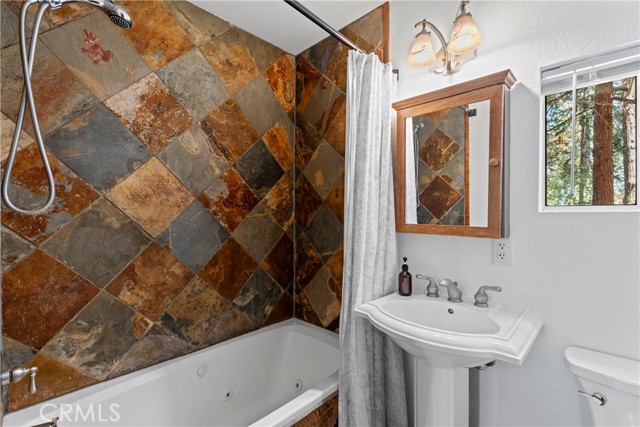 Detail Gallery Image 11 of 31 For 657 Rose Ln, Twin Peaks,  CA 92391 - 2 Beds | 1/1 Baths