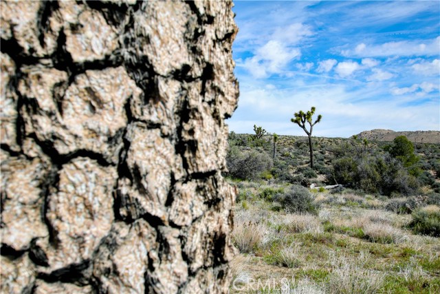 Detail Gallery Image 12 of 32 For 26 Vista Rd, Pioneertown,  CA 92356 - – Beds | – Baths