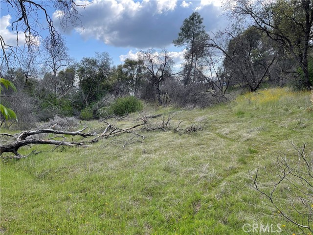 Detail Gallery Image 22 of 24 For 3786 Bronco Hollow Rd, Mariposa,  CA 95338 - – Beds | – Baths