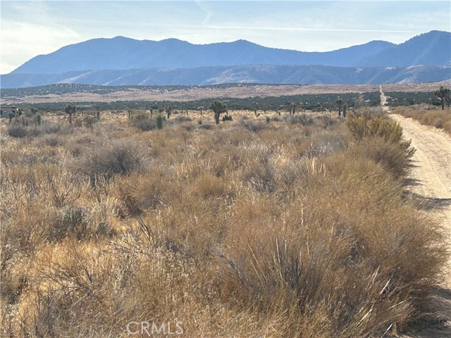 Detail Gallery Image 13 of 36 For 0 X8 Vac Corner Ave#Drt, Llano,  CA 93544 - – Beds | – Baths