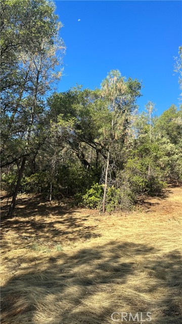 0 Rich Gulch Road, Yankee Hill, California 95965, ,Land,For Sale,0 Rich Gulch Road,CRSN23101845