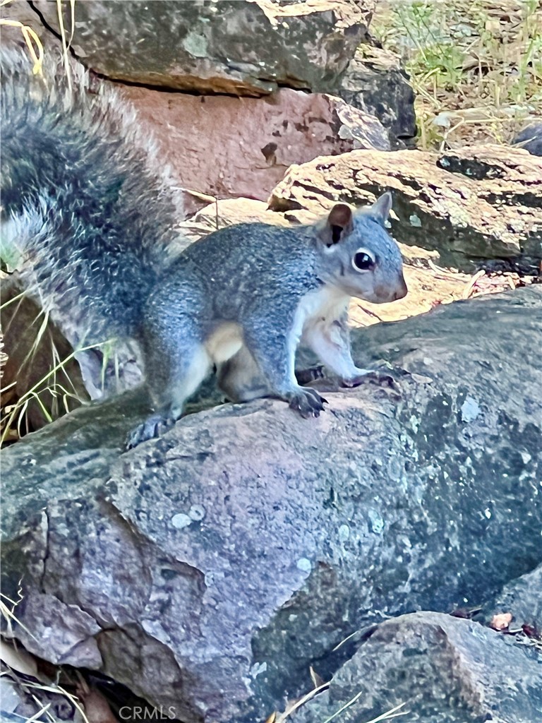 https://media.crmls.org/medias/502aae03-0666-4966-89fd-0b4058388ca7.jpg?preset=X-Large